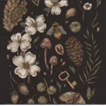 Mushrooom family