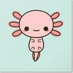 Axolotl Amphibians