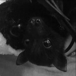 ・一仁了二二二二フ