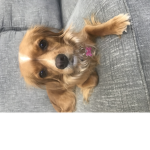 GamingwithCCEH