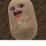 Pa ta te