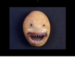 Potato Shark