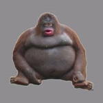 Monke Army.