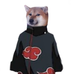 Sly doge akatsuki