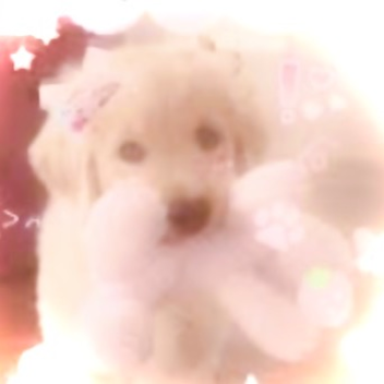 RoboPuppyHero's donations 