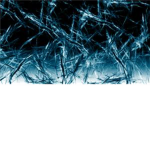 Frostbone Tribe