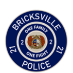 Bricks-Ville City Police Department
