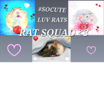 #RAT SQUAD <3