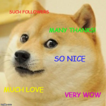 The nice doge