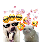 L0laRose1