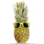 The pineapple club 123