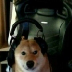 ¡ShibaStyle