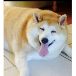 Chonk chart