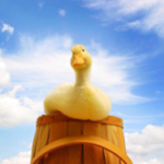 Ducksquadj