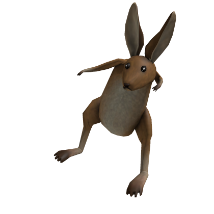 Shoulder Kangaroo