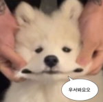 너와 단뚤이 있는 그룹~ 아주~ 달달한 시간~