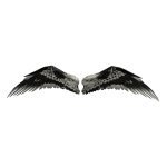 Black & White Wings | Code: WHWINGS