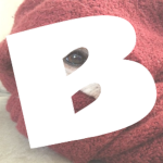blanket