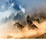 -Wolf . Pack-