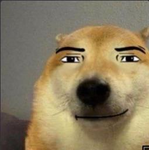 #Doge Army - home of the doge