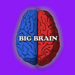 Big Brain Kidz