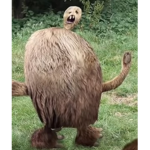 Ohio Creatures