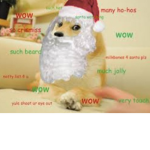 DOGE ARMY of awsome