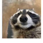 Aurapix