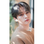 stan straykids for your life