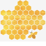 SWARM CO.
