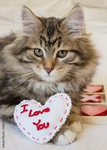 StrawberryHeartLove