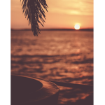 SunSet-Cute group