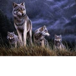 wolf group awesome