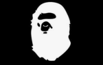 Xbox user pro