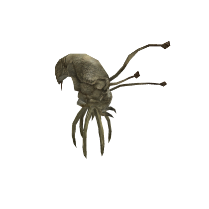 infection Halo CE