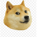 Doge group woof