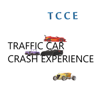 Traffic Car Crash Experience