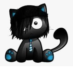 kool kitty kats
