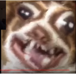 randyratron