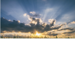 ~Bright Day~