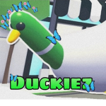 ~Duckiez~