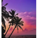 +*Tropical Paradise*+