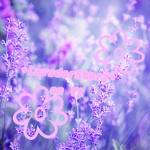 Lavender Stars YT group