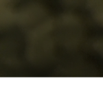faceman entramient