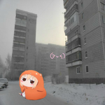 lamyLamii