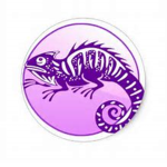 Official Iguana Studios