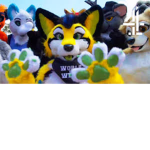 Long Live Thee Friends Of Furries and Non Furries