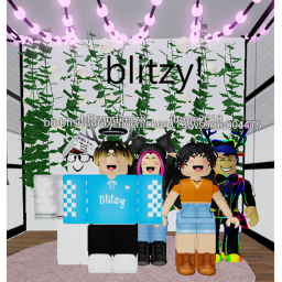 Blitzy Home Store