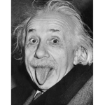 Albert crew