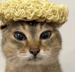 aesthetic..noodles